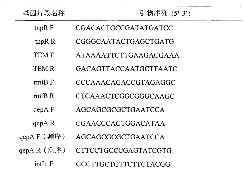 Plasmid fragment carrying novel gene qepA3
