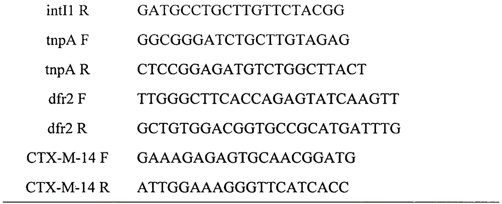 Plasmid fragment carrying novel gene qepA3