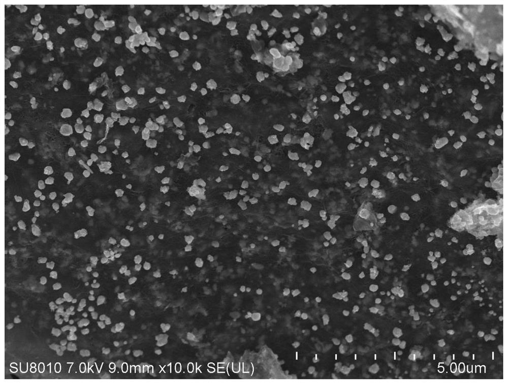 Graphene metal-based composite material and preparation method thereof