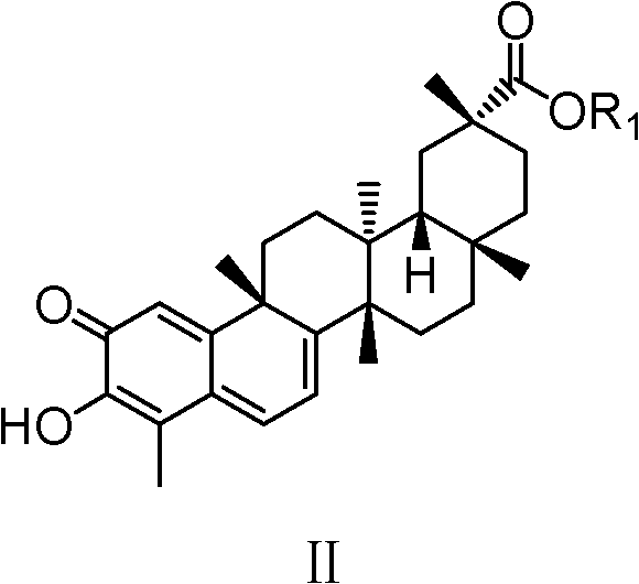 Celastrol derivative and preparation method thereof and application of celastrol derivative to preparation of antitumor medicine
