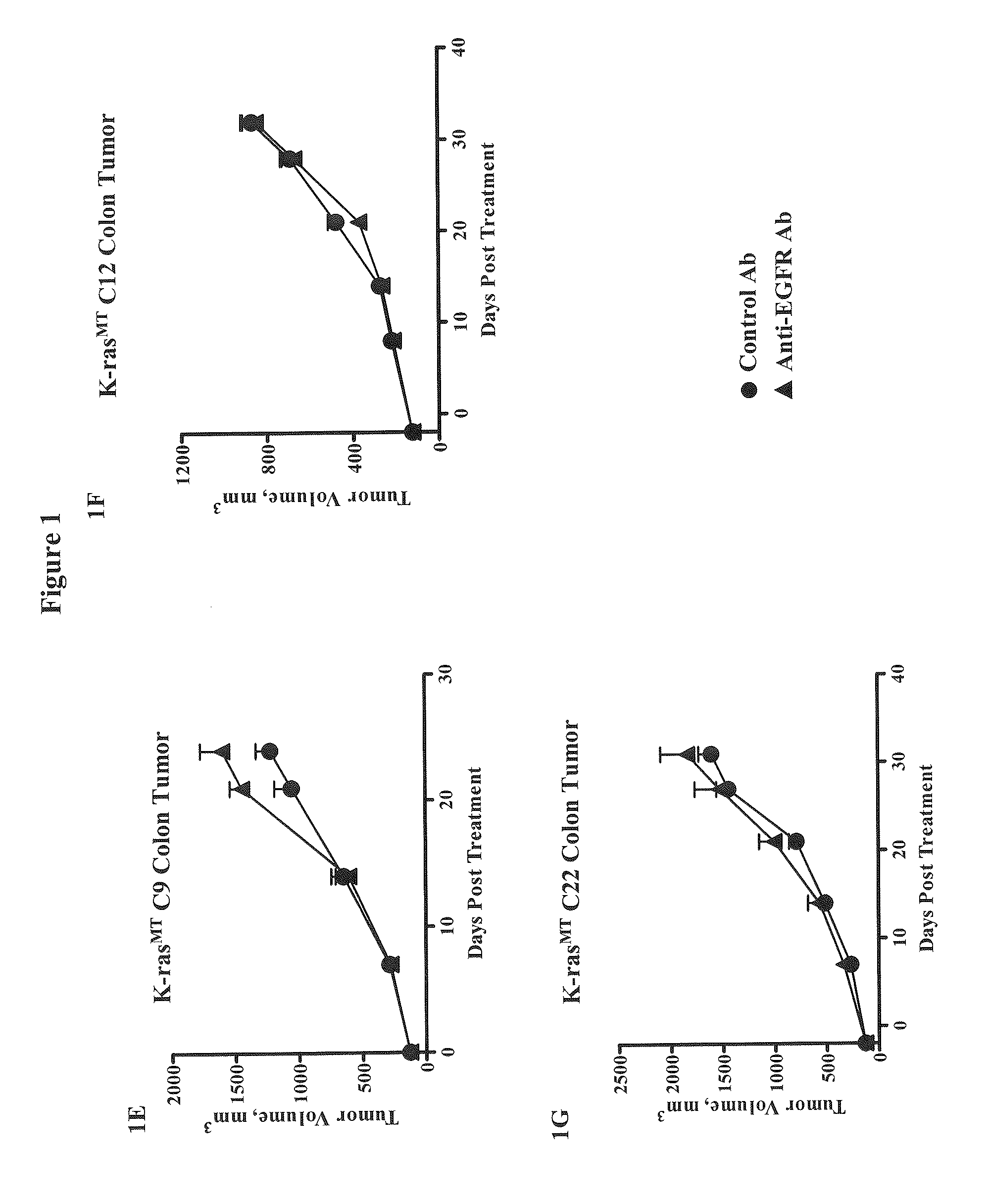 Methods for Treating Cancers Comprising K-ras Mutations