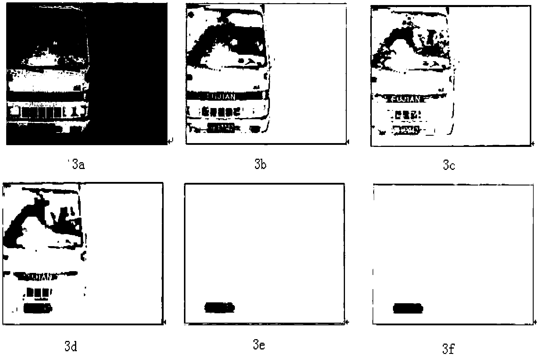 License plate locating method based on colorful binary image