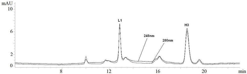 Anti-CD20 monoclonal antibody-aplysiatoxin conjugate as well as preparation method and application thereof