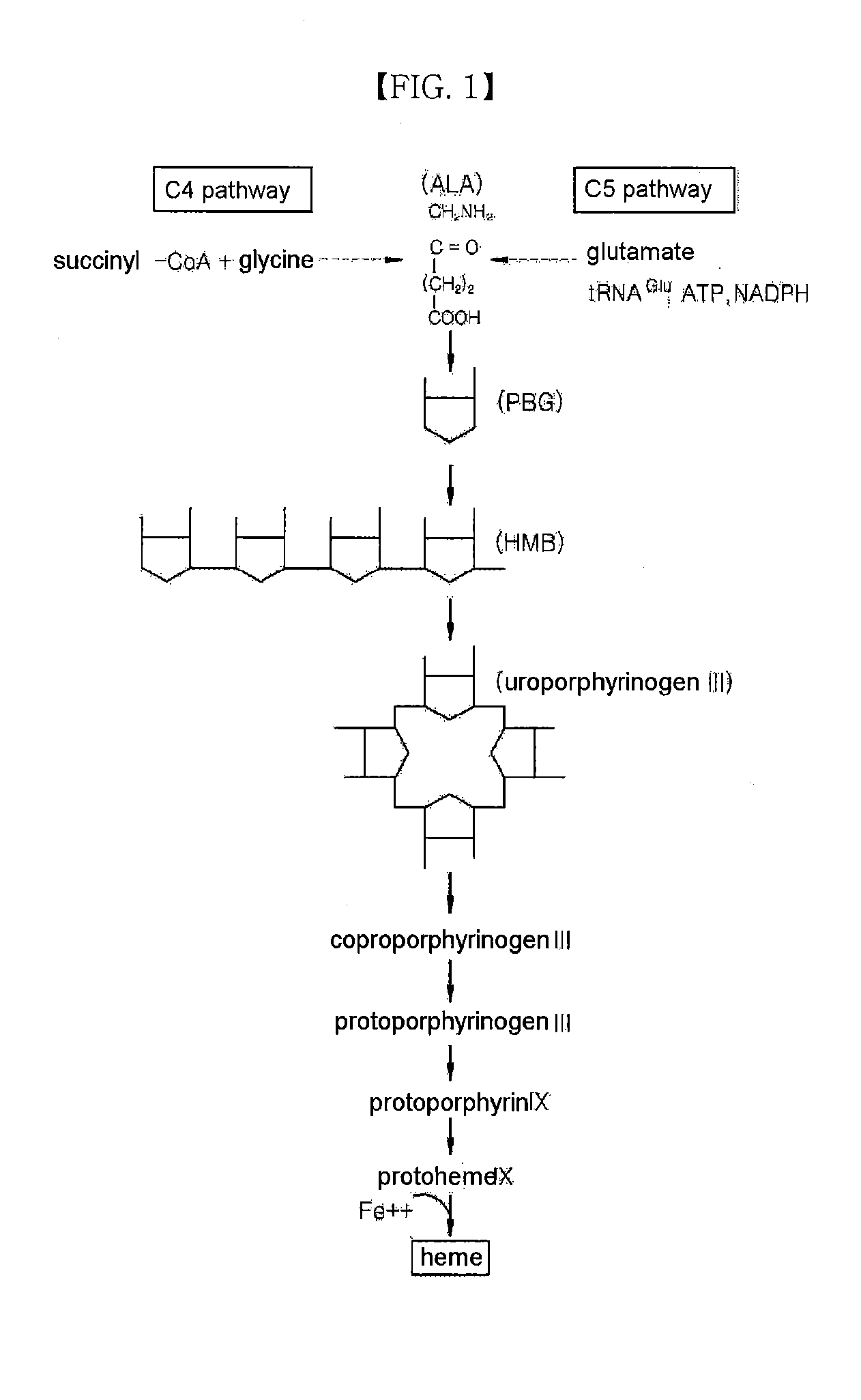 Method for Producing Biological Heme Iron, and Iron Supplementing Composition Containing the Heme Iron Produced By Same