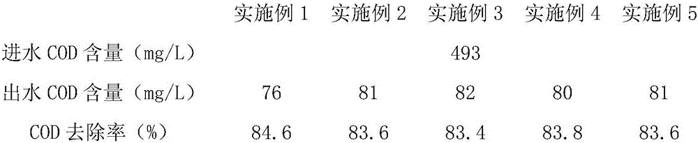 A kind of water treatment agent and preparation method thereof