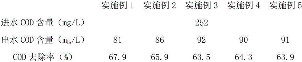 A kind of water treatment agent and preparation method thereof