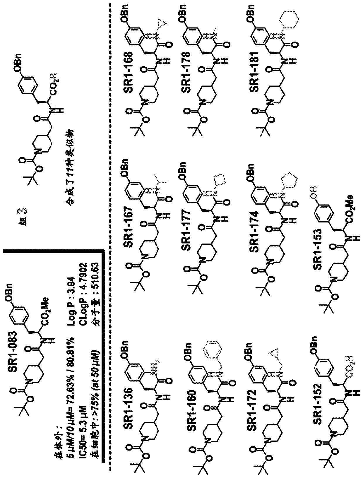 Yap1 inhibitors that target the interaction of yap1 with oct4