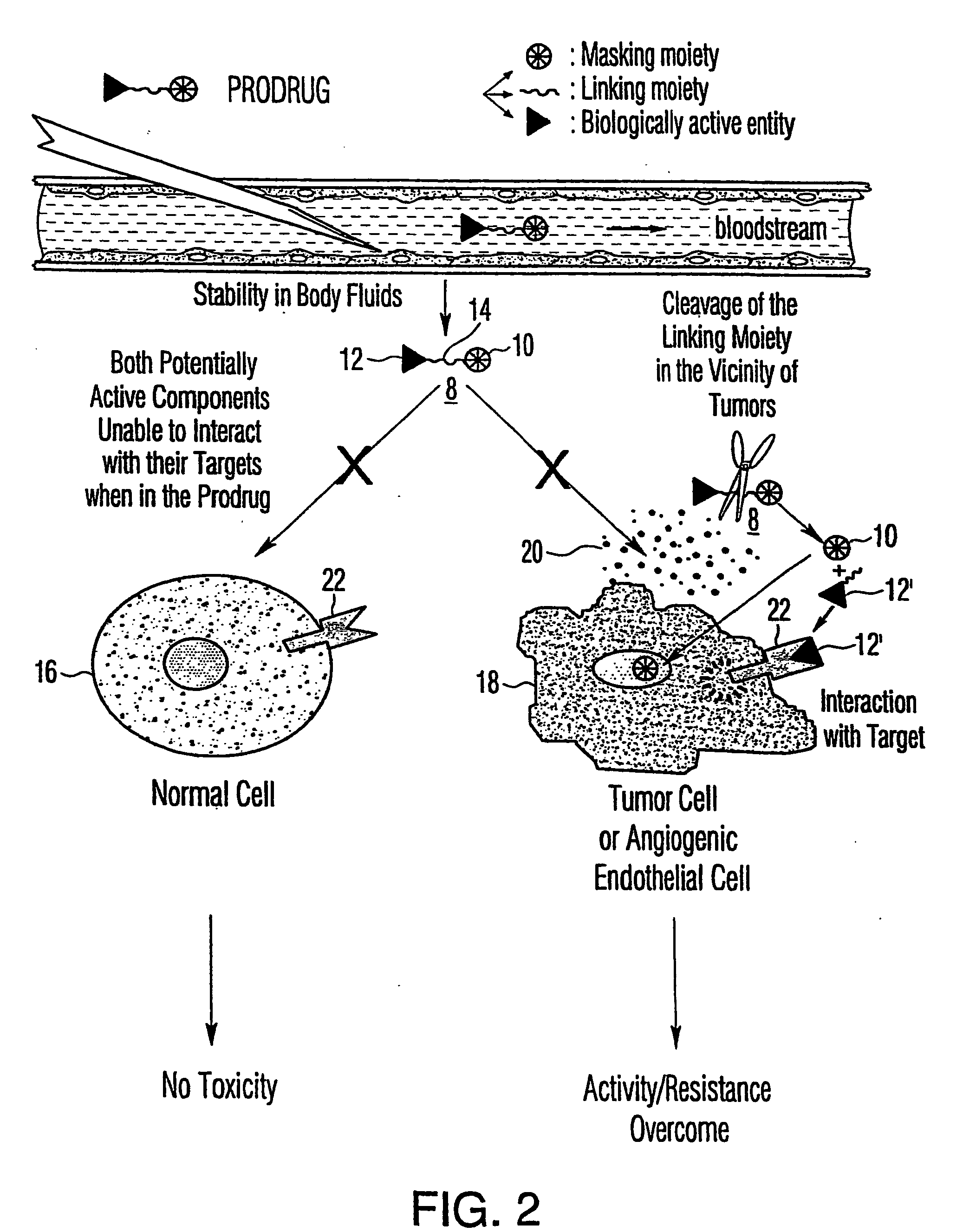 Tumor activated prodrug compounds and methods of making and using the same
