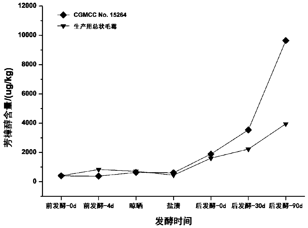 A kind of Mucor racemosus with high yield of linalool and linalyl acetate and its application