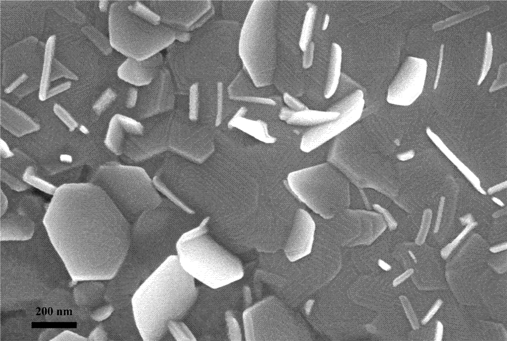 Bismuth telluride nanosheet film of spiral structure and preparing method of bismuth telluride nanosheet film