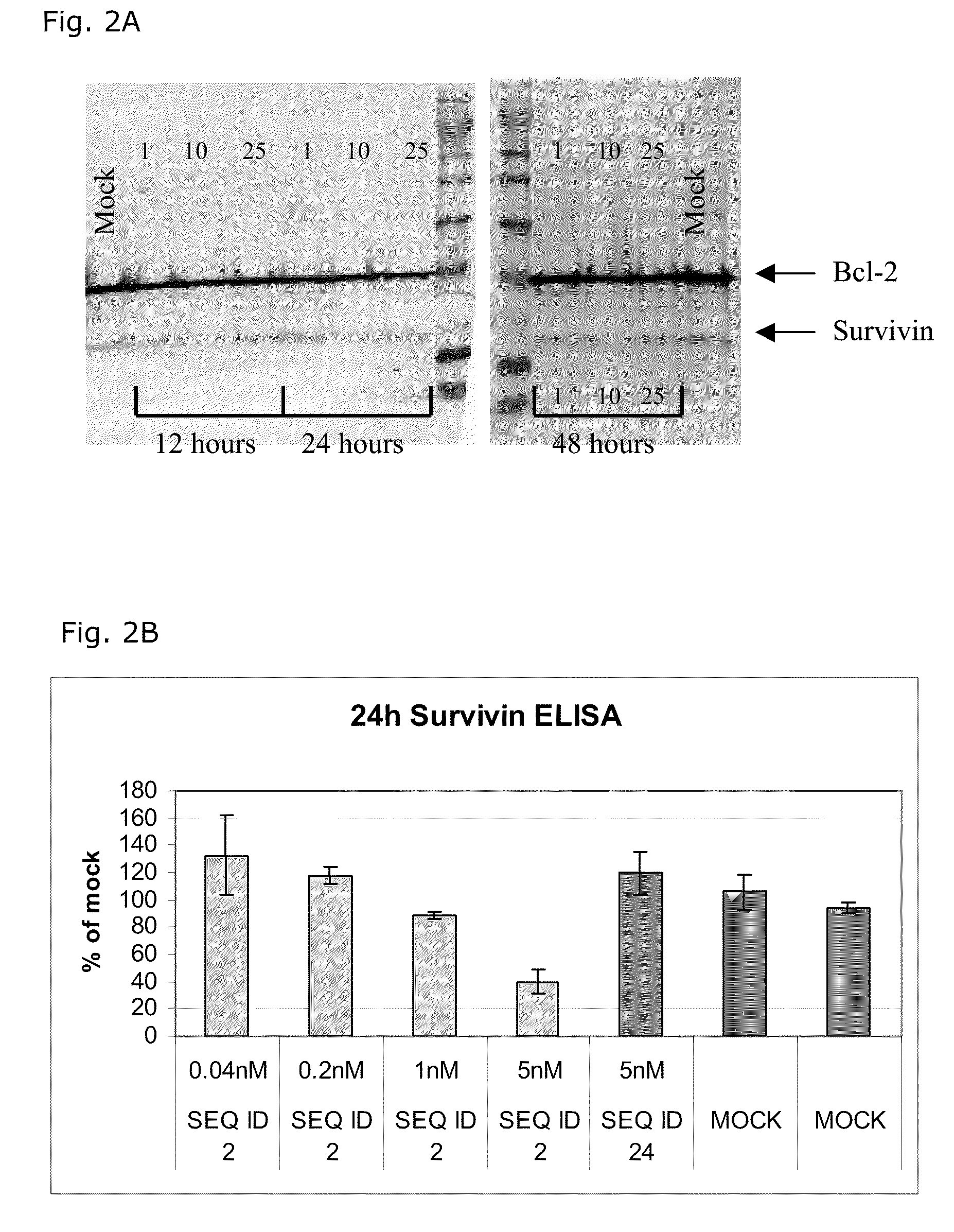 LNA oligonucleotides and the treatment of cancer