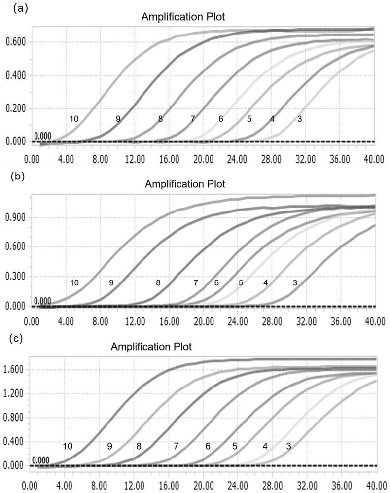 Triple TaqMan fluorescent quantitative PCR (Polymerase Chain Reaction) kit for simultaneously detecting three circoviruses