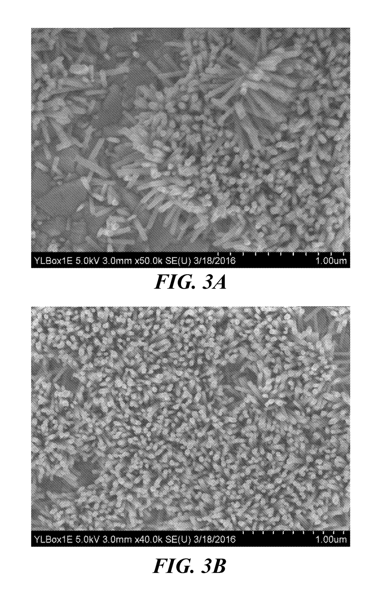 Self-Powered Bone Growth Stimulator