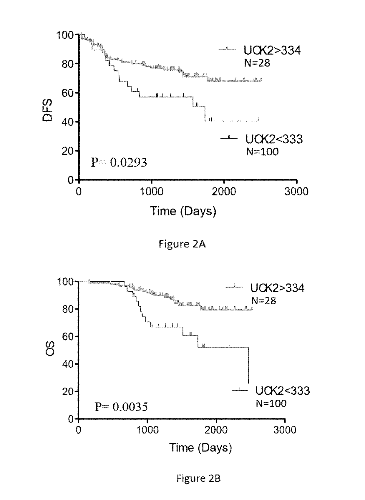 Predicting Optimal Chemotherapy For CRC