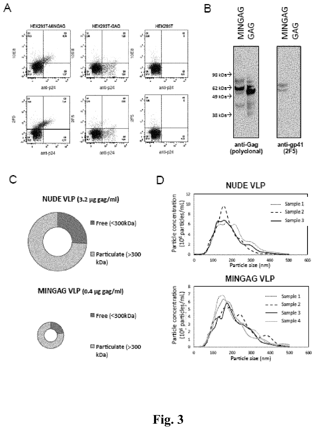 Virus-like particles with high-density coating for inducing the expression of antibodies