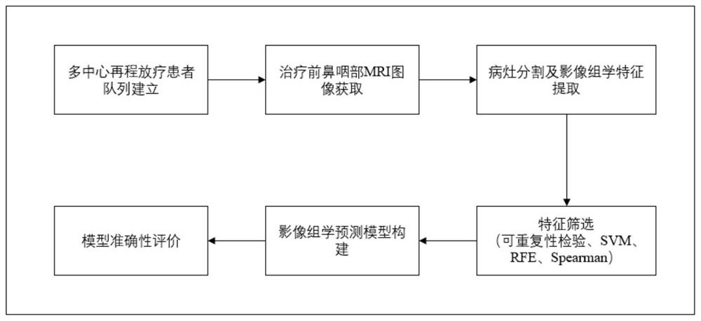 Rerecurrent nasopharynx cancer radiomics data processing method, system and device and storage medium