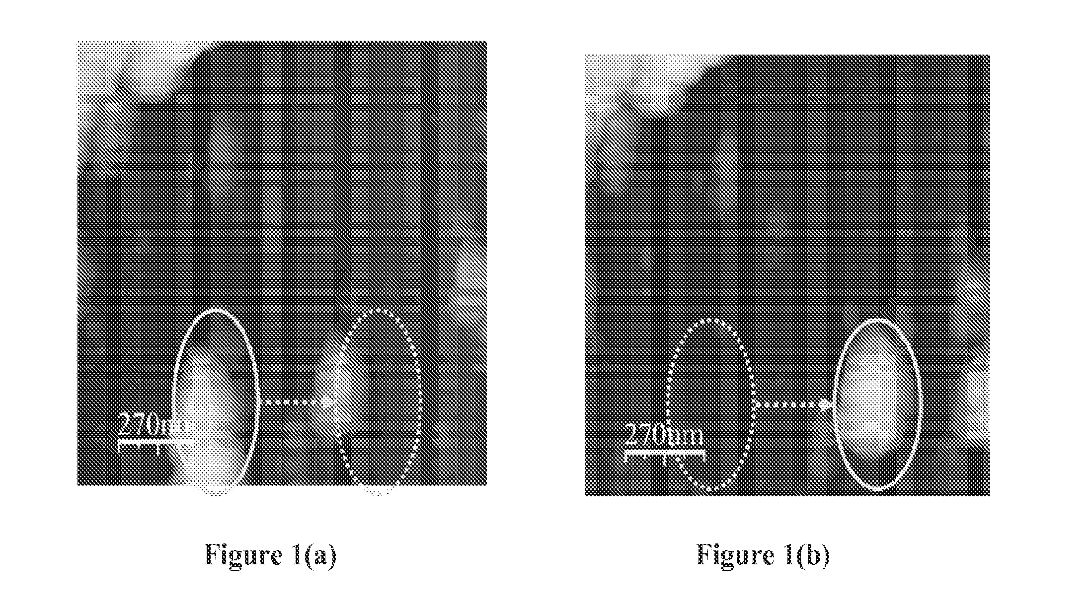 Self-Repairing and Self-Sustaining Autonomous Machines