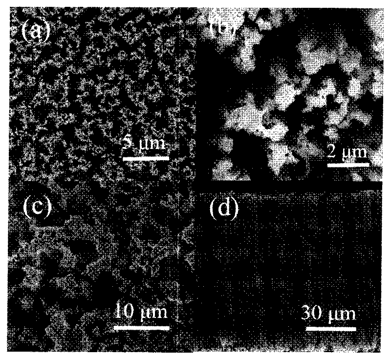 Method for preparing silicon nanowire array membrane electrode