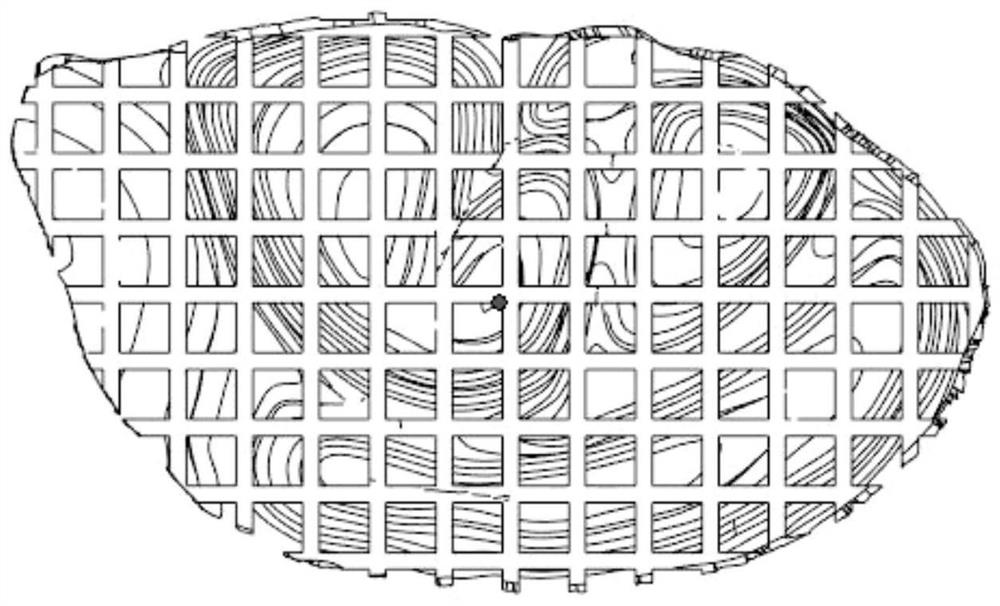 Composite support for tissue engineering auricle shape and preparation method thereof