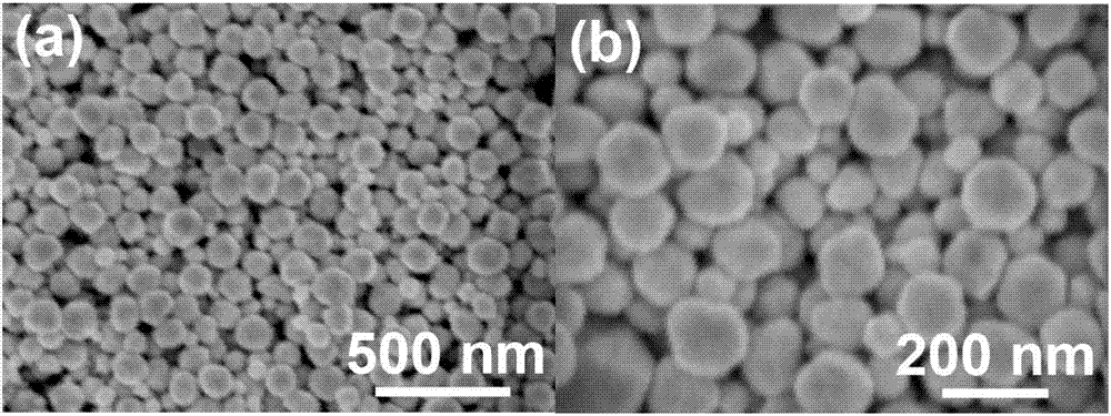 Film assembled from gold nanoparticles, as well as preparation method and application of film