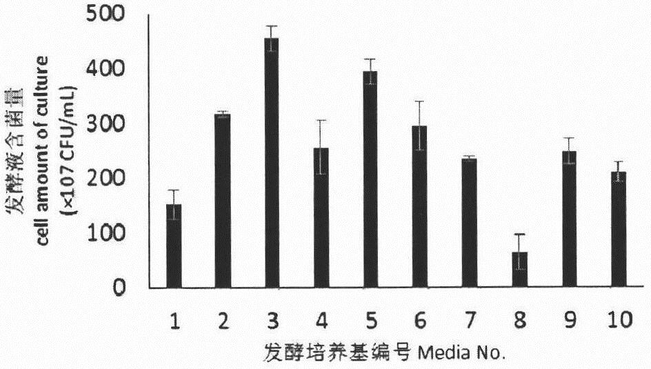 Method for optimizing the shake flask fermentation process of Bacillus subtilis t-500 high-yielding lipopeptide antibiotics