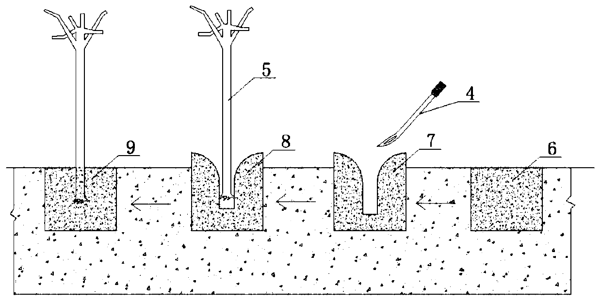 Method for cultivating and planting trees and shrubs with sandy soil improved with matrix mud mixing pile method