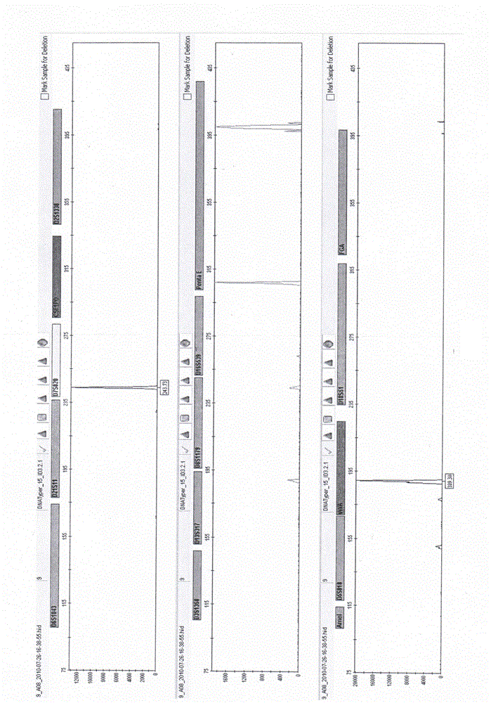 Method and system for identifying histologic origin of body fluids of Chinese population from gene level