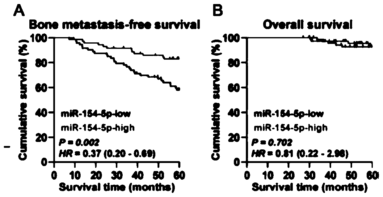 New application of miR-154-5p in prostate cancer bone metastasis