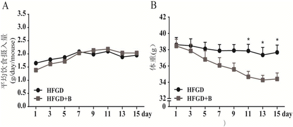 Drug for preventing and treating fatty liver and obesity and application thereof in drug preparation
