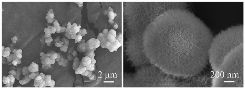 A preparation method of graded mesoporous hydrated alumina microspheres with controllable crystal form