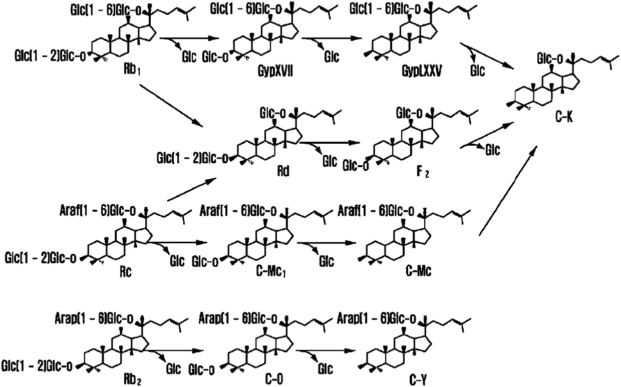 Method for selectively producing ginsenoside rd from saponins of ginseng through enzymatic method