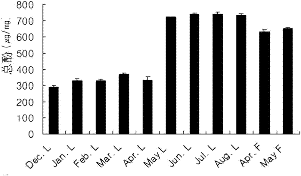 Oral Composition Containing Camellia Leaf Extract, And Preparation Method Therefor