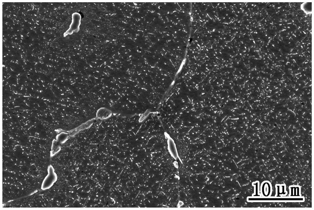 A high-niobium austenitic heat-resistant steel with high structural stability at 700°C and its preparation method