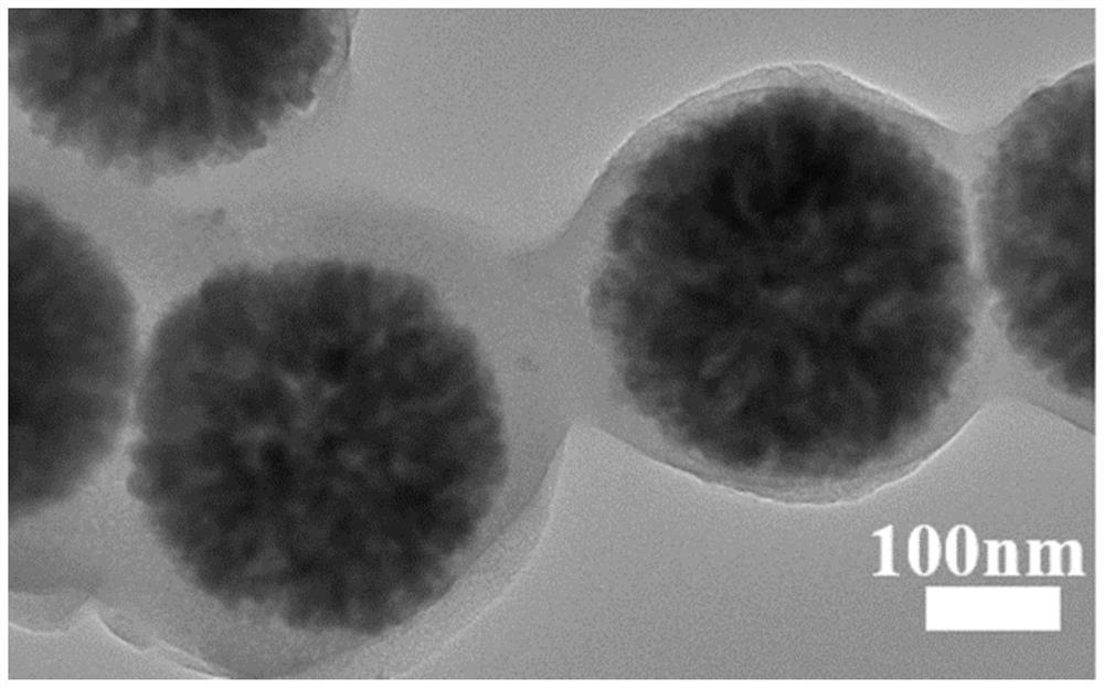 Magnetic core-shell structure porous silicon dioxide carrier for laccase immobilization as well as preparation method and application of magnetic core-shell structure porous silicon dioxide carrier