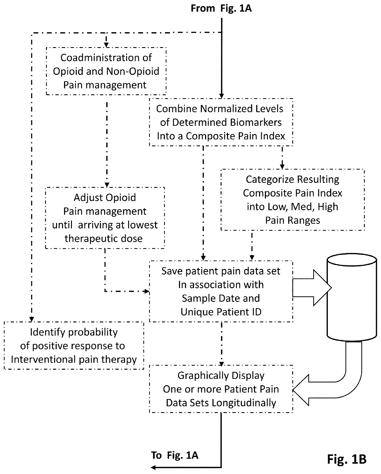 Methods of diagnosing and treating particular causal components of chronic pain in a patient