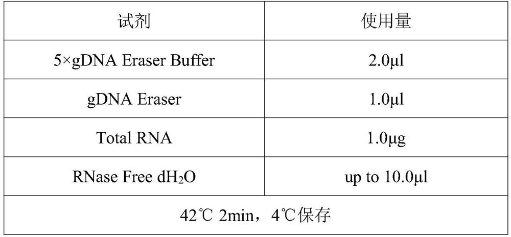 Application of hsa_circ_0000284 in preparation of neuroblastoma prognostic preparation