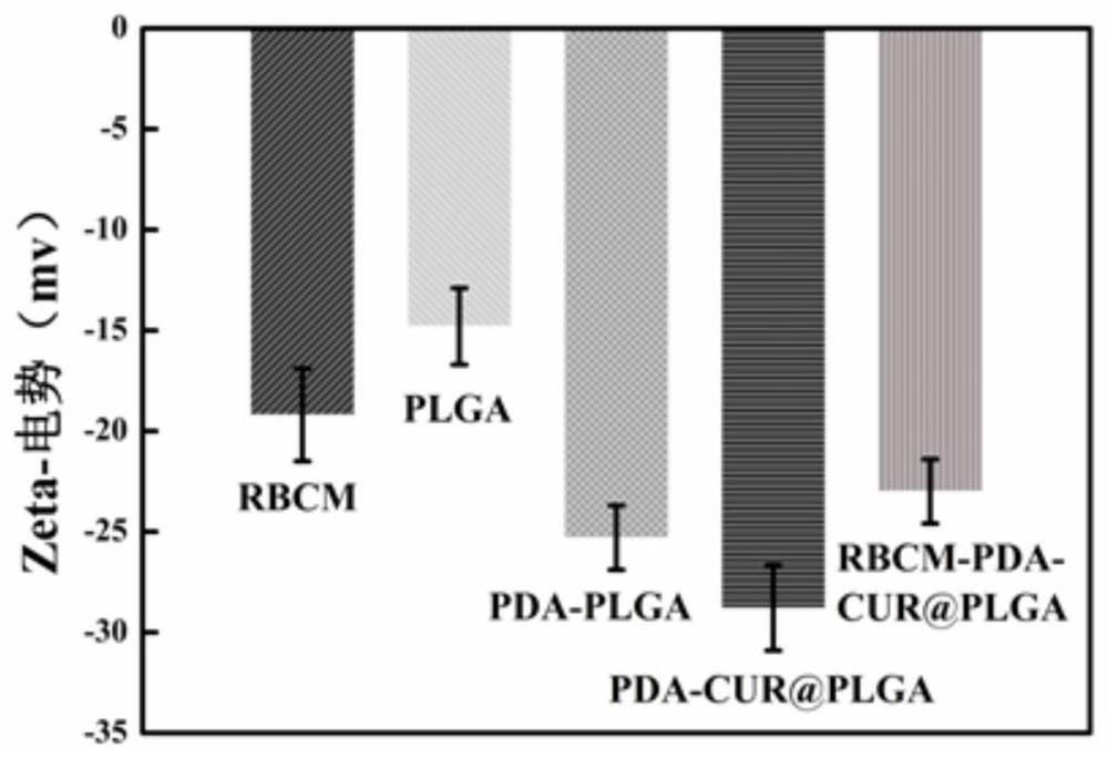 A kind of erythrocyte membrane-wrapped polydopamine-coated drug-loaded plga material and its preparation and application