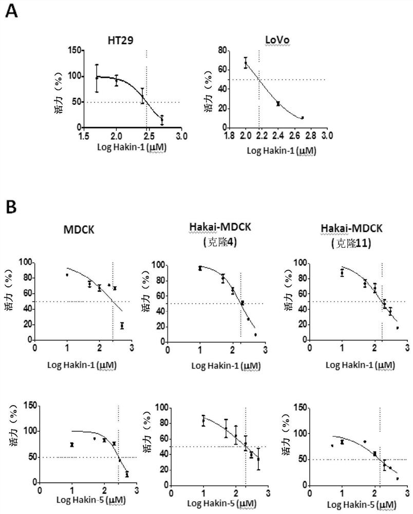 Compounds that selectively and effectively inhibit hakai-mediated ubiquitination, as Anti-cancer drugs