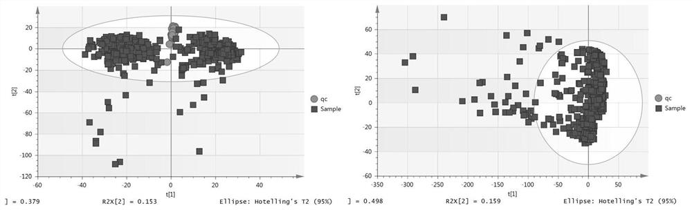 Application of a Metabonomics Analysis Technique to Discriminate the Spatial and Temporal Classification of Yashixiang Dancong Tea