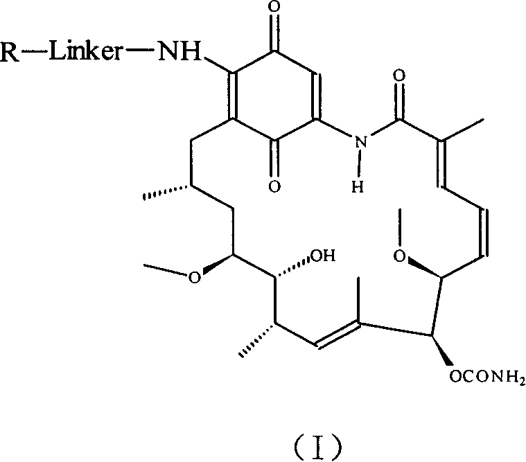 Group of geldanamycin derivative with nucleoside base