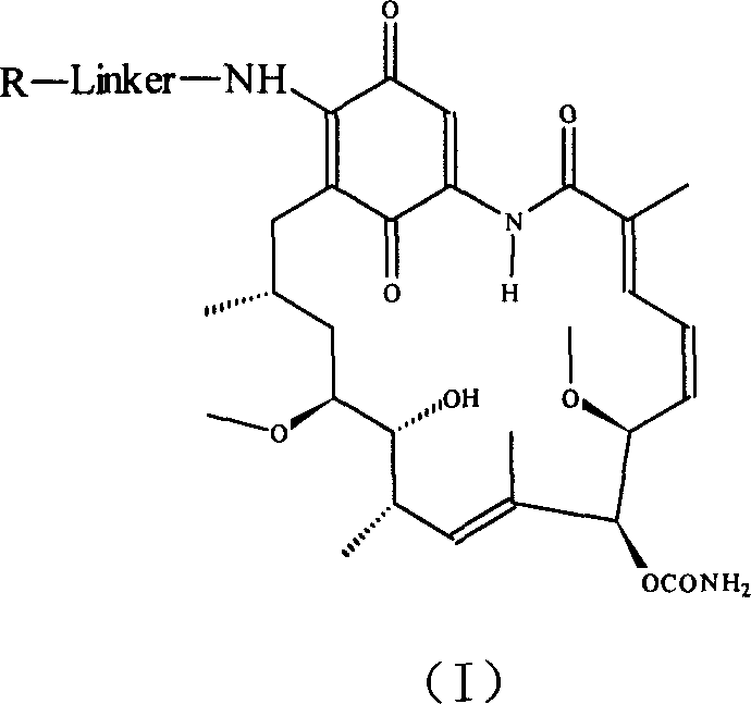 Group of geldanamycin derivative with nucleoside base