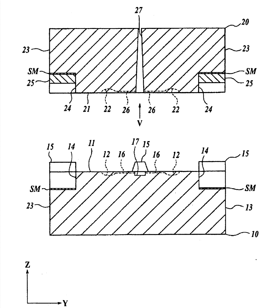 Molding device and molding method