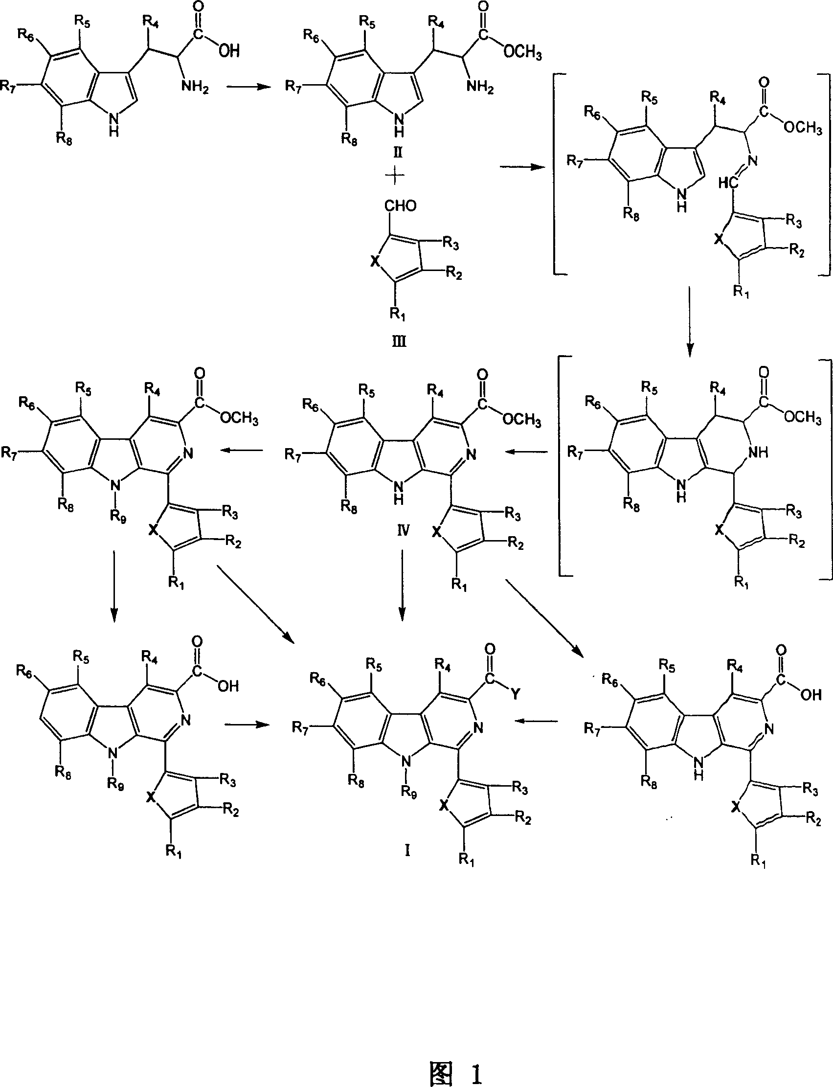 Beta-carboline alkaloid, their preparation method and use