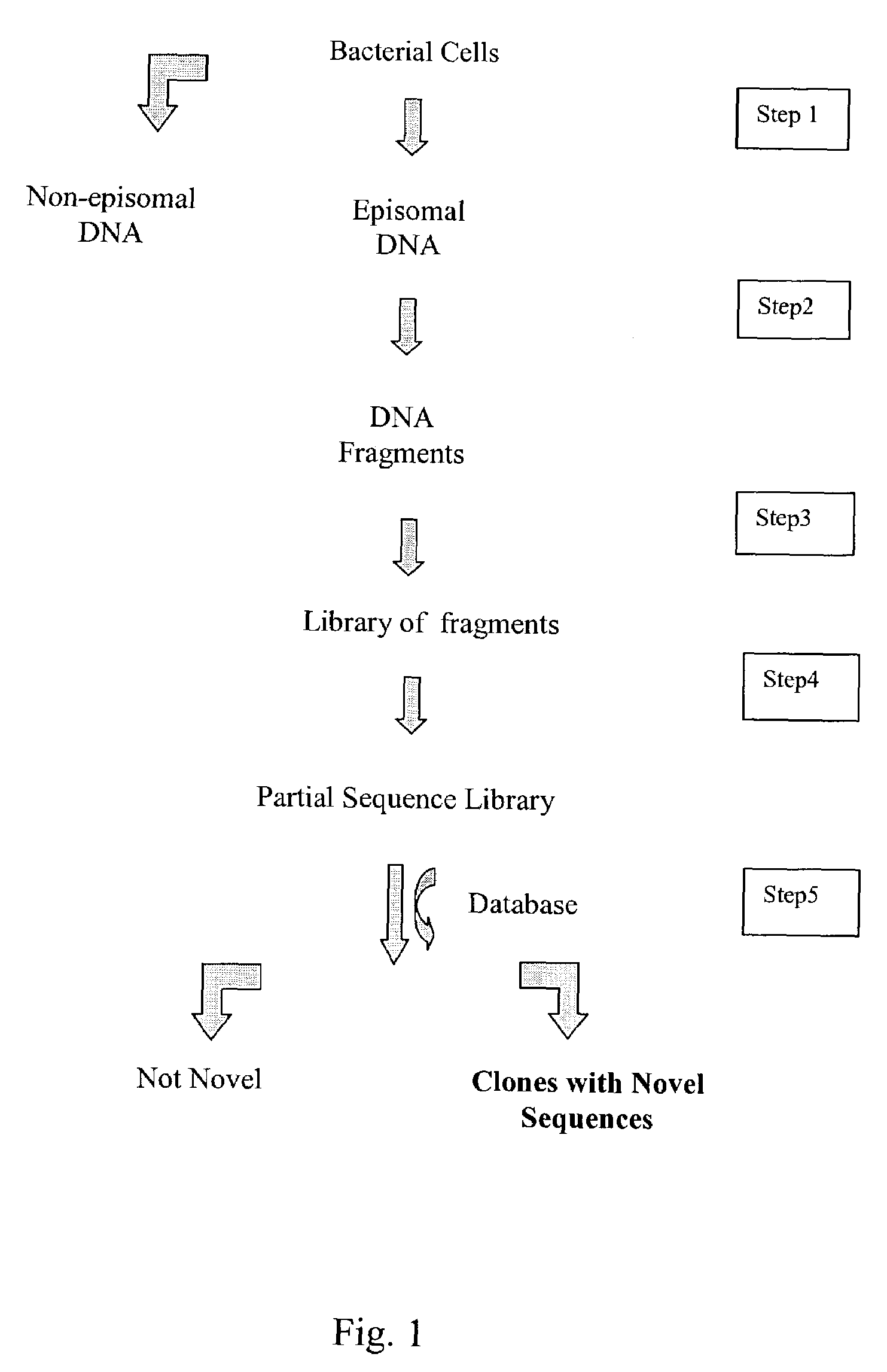 Integrated system for high throughput capture of genetic diversity