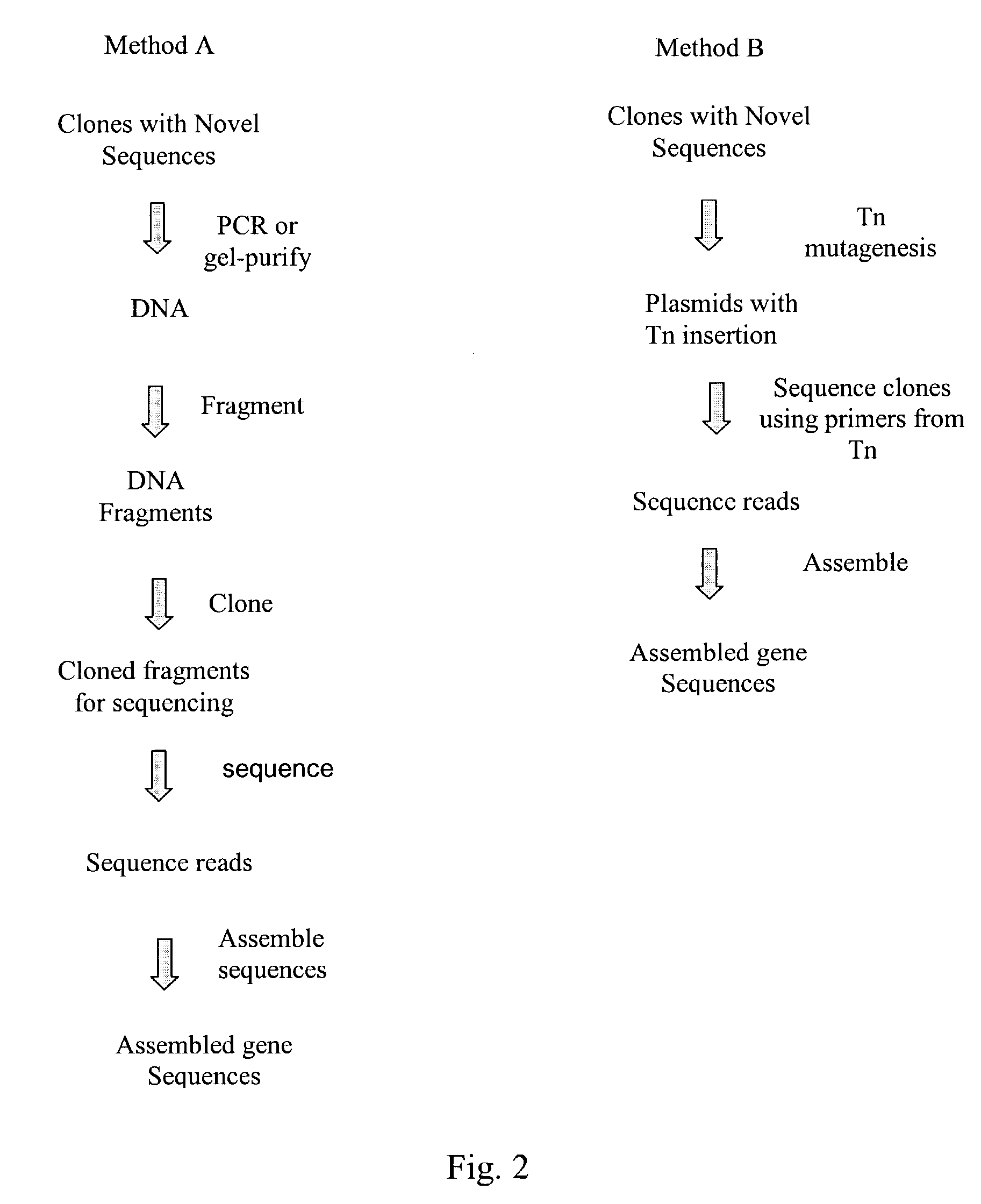 Integrated system for high throughput capture of genetic diversity