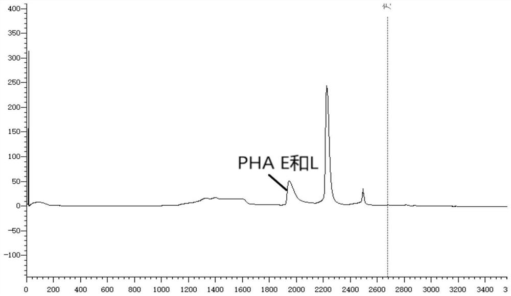 Method for extracting L-type and E-type phytohemagglutinins (PHAs)