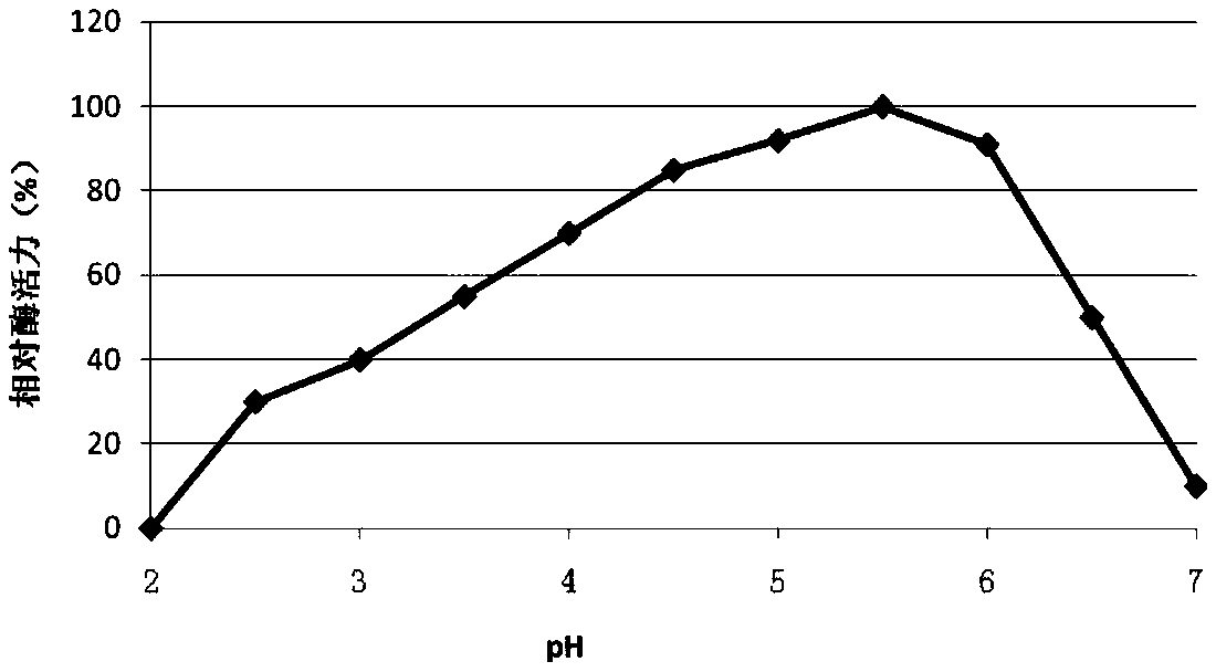 Method for fermentation production of lactase by aspergillus oryzae and lactase produced by method