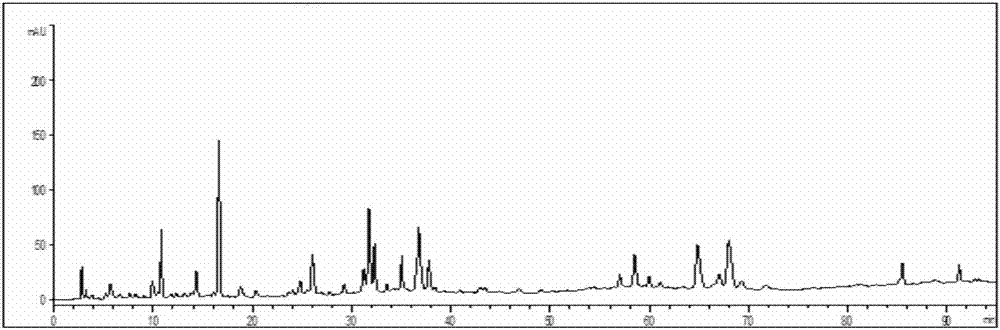 Method for Establishing HPLC Fingerprint of Yixuan Granules
