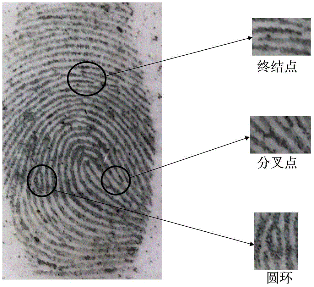 A method for revealing latent fingerprints by multi-metal deposition technology