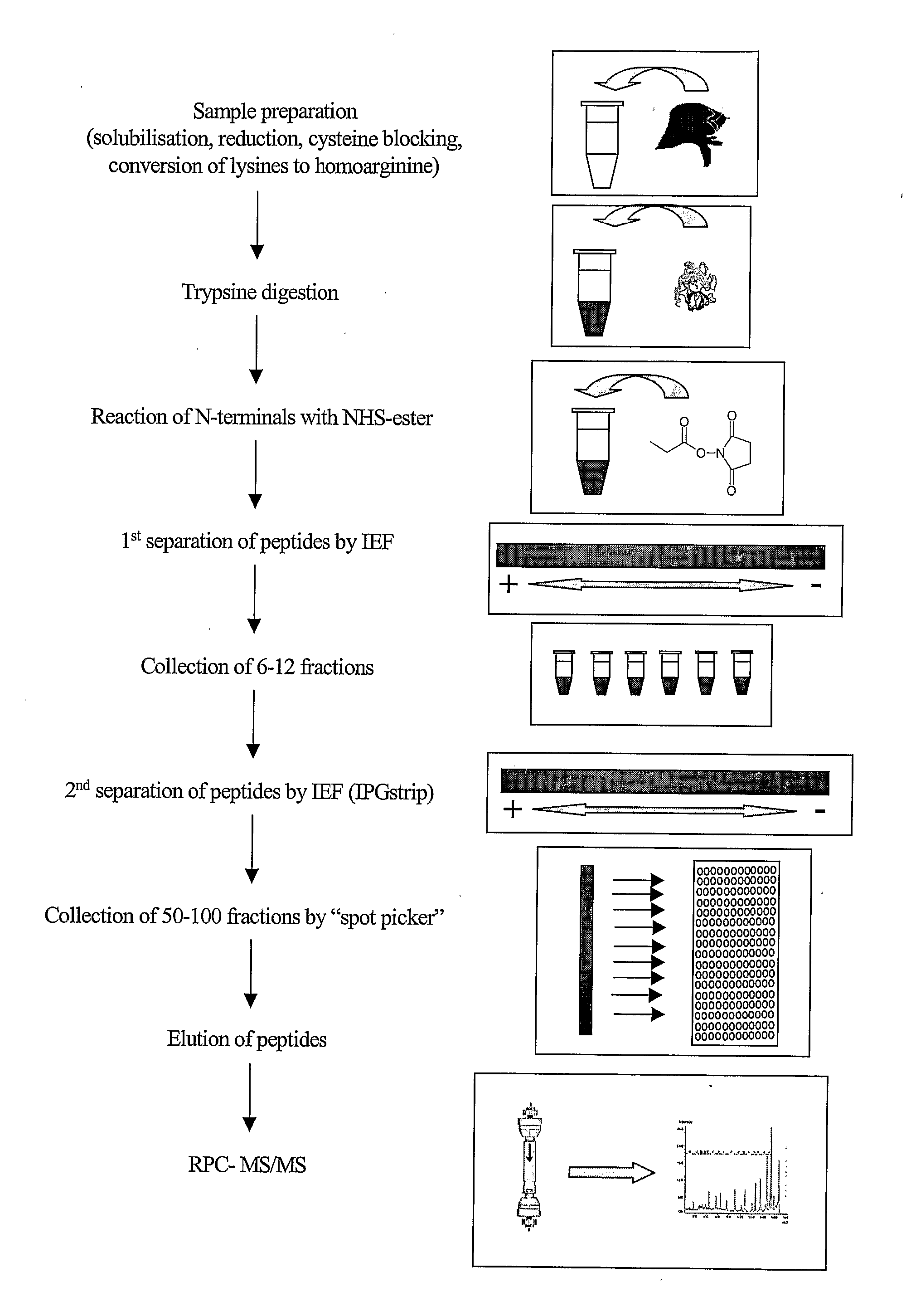 Method and Kit for Peptide Analysis